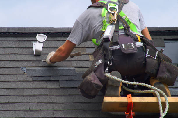 Best Metal Roofing Contractor  in Central City, NE
