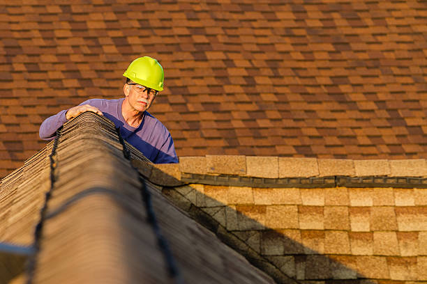 Best Roof Gutter Cleaning  in Central City, NE
