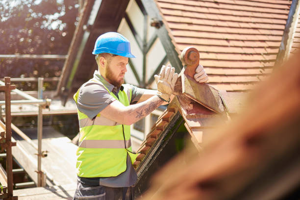 Best Metal Roofing Contractor  in Central City, NE